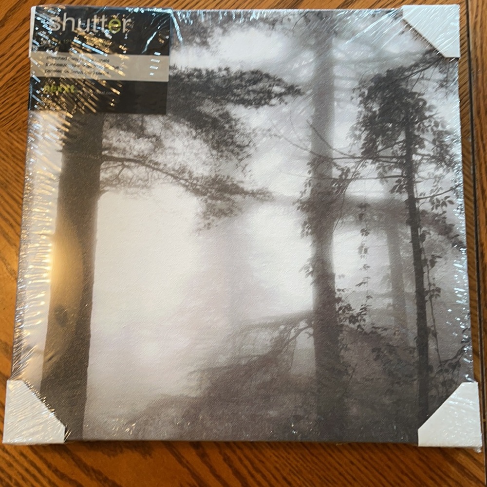 NWT Canvas Wall Art 12 x12 Misty Forest